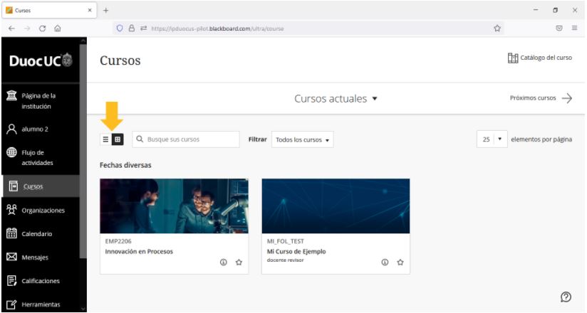 Cursos.JPG